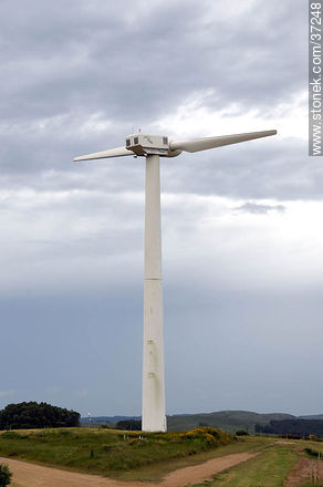 Nuevo Manantial wind farm. - Department of Rocha - URUGUAY. Photo #37248