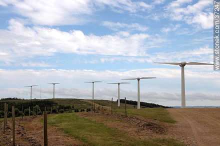 Nuevo Manantial wind farm. - Department of Rocha - URUGUAY. Photo #37247