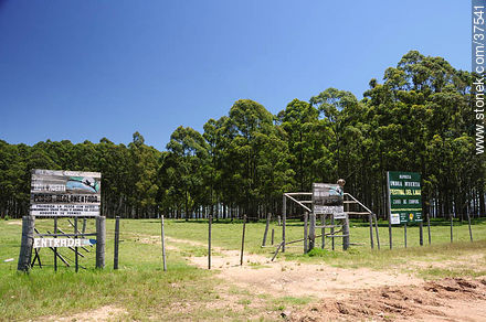 Presa de India Muerta. Zona de Camping. - Departamento de Rocha - URUGUAY. Foto No. 37541