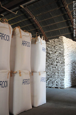 Rice production deposit - Department of Rocha - URUGUAY. Foto No. 37521