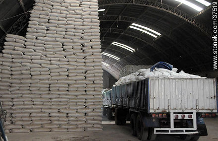 Rice production deposit - Department of Rocha - URUGUAY. Foto No. 37519