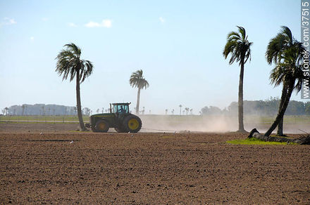 Preparing a ricefield - Department of Rocha - URUGUAY. Foto No. 37515