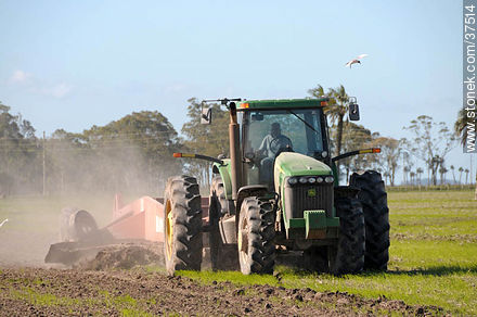 Preparing a ricefield - Department of Rocha - URUGUAY. Foto No. 37514