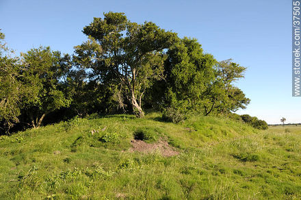 Old indian hill - Department of Rocha - URUGUAY. Photo #37505