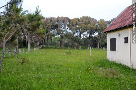 Residencia de La Coronilla - Department of Rocha - URUGUAY. Photo #37471