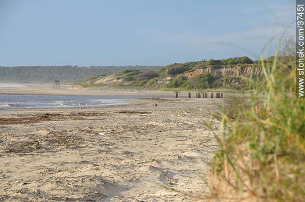 La Coronilla beach - Department of Rocha - URUGUAY. Photo #37451