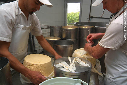 Family cheese factory - Department of Colonia - URUGUAY. Foto No. 37632