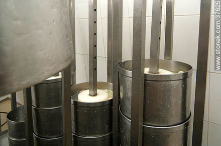 Pequeña industria de fabricación de quesos - Departamento de Colonia - URUGUAY. Foto No. 37625