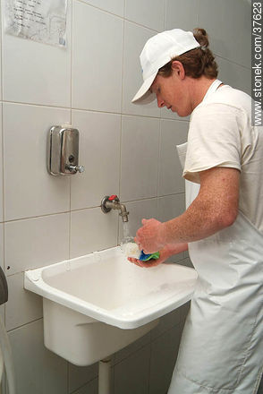 Higiene de la pequeña industria quesera. - Departamento de Colonia - URUGUAY. Foto No. 37623