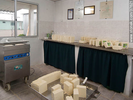 Envasado de queso ricotta - Departamento de Colonia - URUGUAY. Foto No. 37621