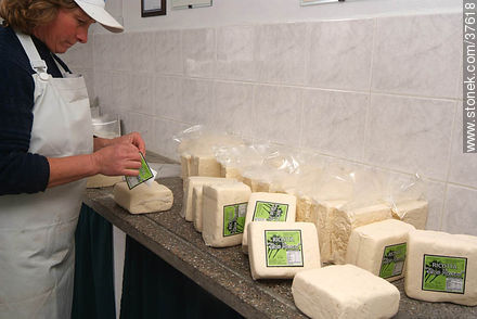 Envasado de queso ricotta - Departamento de Colonia - URUGUAY. Foto No. 37618