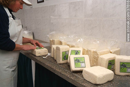 Envasado de queso ricotta - Departamento de Colonia - URUGUAY. Foto No. 37616