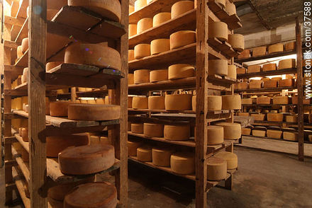 Depósito antiguo de quesos para maduración - Departamento de Colonia - URUGUAY. Foto No. 37588