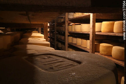 Depósito antiguo de quesos para maduración - Departamento de Colonia - URUGUAY. Foto No. 37664
