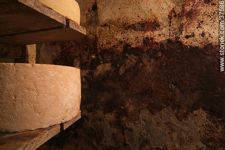 Depósito antiguo de quesos para maduración - Departamento de Colonia - URUGUAY. Foto No. 37586