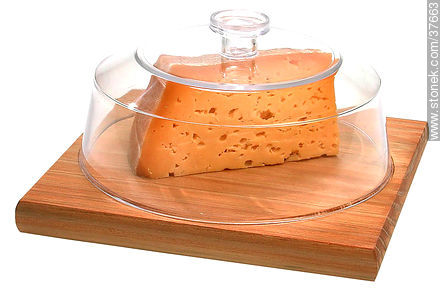 Cheese -  - MORE IMAGES. Photo #37663