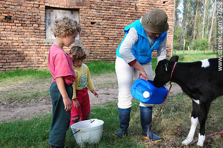 Los niños aprenden y colaboran en la empresa familiar antes de ir a la escuela. - Departamento de Colonia - URUGUAY. Foto No. 37558