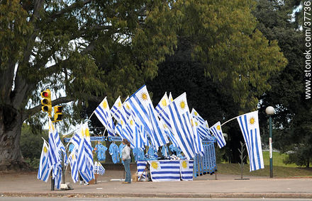 Festejos por el pasaje de Uruguay a los cuartos de final de la Copa del Mundo 2010 - Departamento de Montevideo - URUGUAY. Foto No. 37736