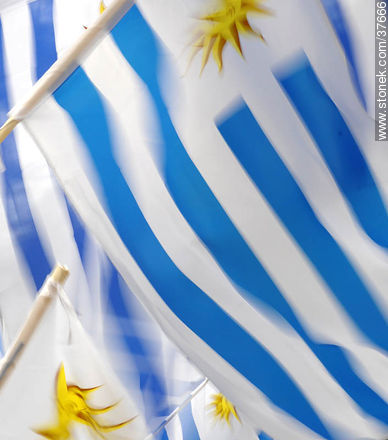 Uruguayan flags. -  - MORE IMAGES. Photo #37666