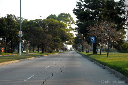 Avenida Italia desierta como nunca durante el partido Uruguay Holanda (2-3) el 6 de julio de 2010. Aeropuerto Internacional de Carrasco -  - URUGUAY. Foto No. 37809