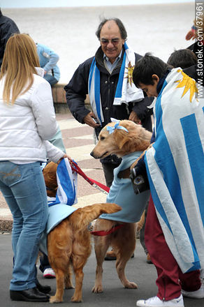 Recibimiento de la Selección Uruguaya de Fútbol en la rambla de Pocitos de Montevideo el 13 de Julio de 2010. -  - URUGUAY. Foto No. 37961