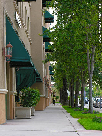 Calles de Coral Gables - Estado de Florida - EE.UU.-CANADÁ. Foto No. 38502