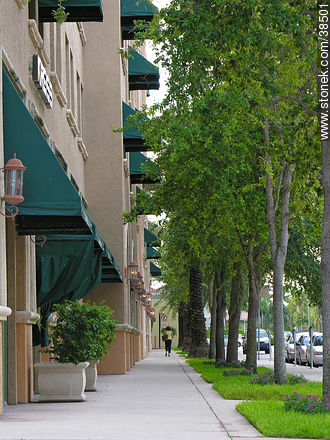 Coral Gables street - State of Florida - USA-CANADA. Photo #38501