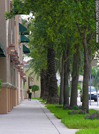 Coral Gables street - State of Florida - USA-CANADA. Photo #38500