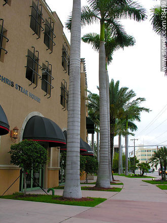 Calles de Coral Gables - Estado de Florida - EE.UU.-CANADÁ. Foto No. 38499