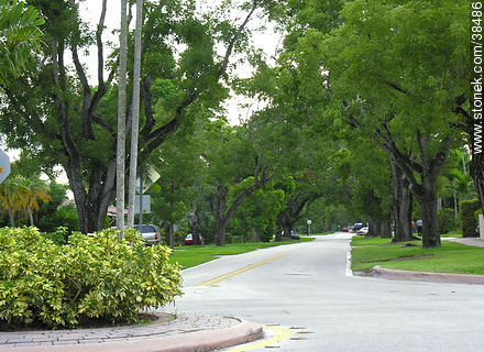 Calle de Coral Gables - Estado de Florida - EE.UU.-CANADÁ. Foto No. 38486
