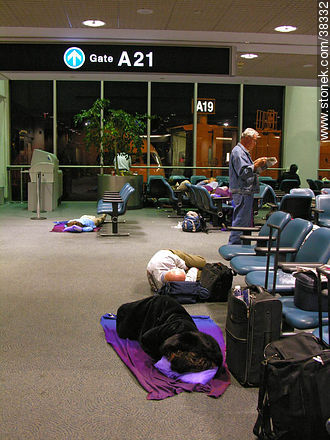 Miami Airport. Delayed flight. - State of Florida - USA-CANADA. Photo #38332