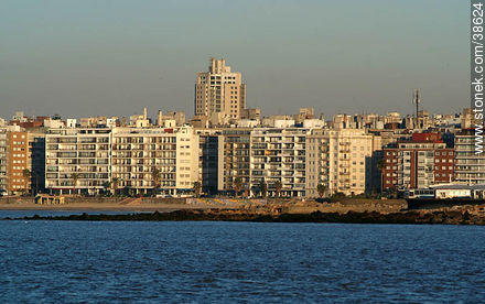 Edificios de la rambla de Pocitos - Departamento de Montevideo - URUGUAY. Foto No. 38624