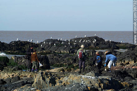 Isla de Flores. Turistas observando gaviotas. -  - URUGUAY. Foto No. 38732