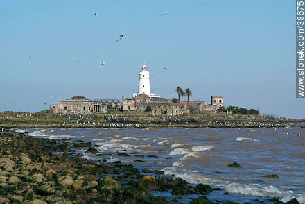 Isla de Flores lighthouse. -  - URUGUAY. Photo #38675
