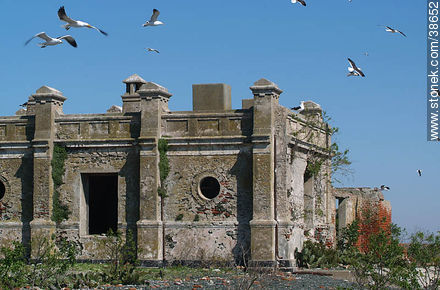 Isla de Flores -  - URUGUAY. Foto No. 38652