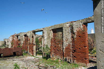 Isla de Flores -  - URUGUAY. Foto No. 38649