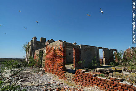 Isla de Flores -  - URUGUAY. Foto No. 38648