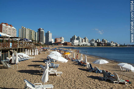 Playa Mansa - Punta del Este and its near resorts - URUGUAY. Foto No. 38854