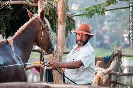 Bathing the horse - Tacuarembo - URUGUAY. Photo #39781