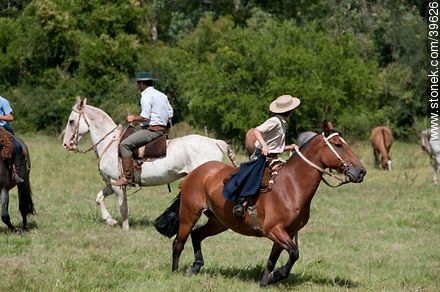 Young Riders rode in the field - Tacuarembo - URUGUAY. Photo #39626