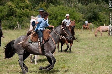 Jóvenes jinetes cabalgando en el campo - Departamento de Tacuarembó - URUGUAY. Foto No. 39607