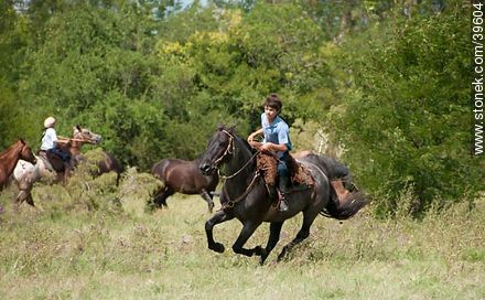 Young Riders rode in the field - Tacuarembo - URUGUAY. Photo #39604