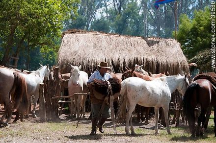 Carrying the saddle - Tacuarembo - URUGUAY. Foto No. 39580