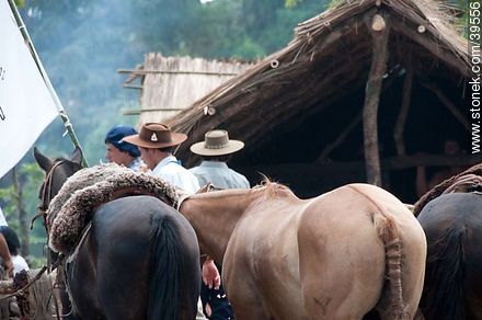 Young men between horses - Tacuarembo - URUGUAY. Photo #39556