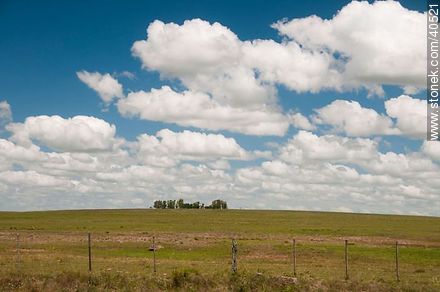 Fields of Tacuarembó - Tacuarembo - URUGUAY. Foto No. 40521