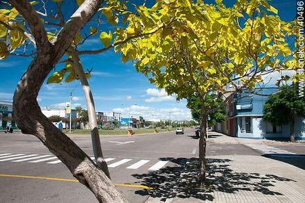 Artigas Blvd. - Tacuarembo - URUGUAY. Foto No. 40496