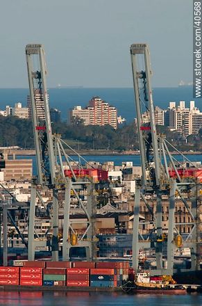Giant cranes. - Department of Montevideo - URUGUAY. Photo #40568
