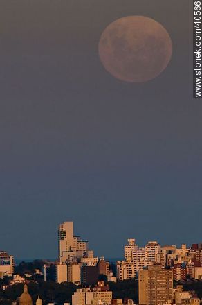 La luna llena más grande vista en 20 años. Torre del Congreso. - Departamento de Montevideo - URUGUAY. Foto No. 40566