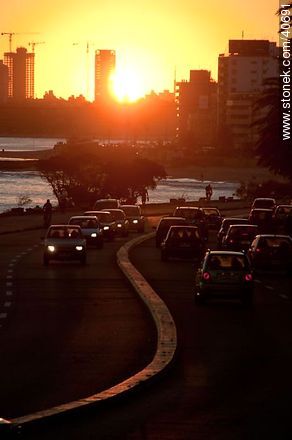 Sunset on the Rambla O'Higgins - Department of Montevideo - URUGUAY. Photo #40691