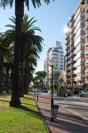 Avenida Julio M. Sosa - Departamento de Montevideo - URUGUAY. Foto No. 40727